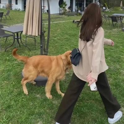 曙光乍泄